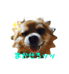 ミルトコトコ（個別スタンプ：3）