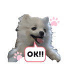 ミルトコトコ（個別スタンプ：8）