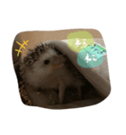 こまめさん②（個別スタンプ：2）