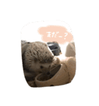 こまめさん②（個別スタンプ：6）