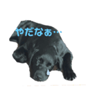 everyday mugi 1（個別スタンプ：1）