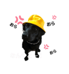 everyday mugi 1（個別スタンプ：7）