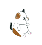 こんぺいとうねこ（個別スタンプ：18）