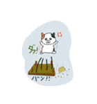 こんぺいとうねこ（個別スタンプ：36）