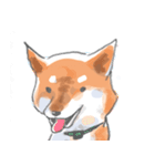 モッチリフカフカのしばいぬ(ごま)（個別スタンプ：16）