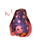 うちのかわいい、こつぶちゃん（個別スタンプ：2）