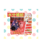 うちのかわいい、こつぶちゃん（個別スタンプ：5）