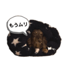 ころじいさん2（個別スタンプ：4）