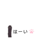黒猫と白猫（個別スタンプ：4）