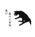 黒猫と白猫（個別スタンプ：8）