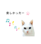 黒猫と白猫（個別スタンプ：9）