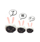 黒猫と白猫（個別スタンプ：19）