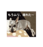 今日も元気なバモたん（個別スタンプ：2）