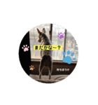 今日も元気なバモたん（個別スタンプ：3）
