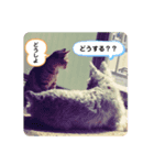 今日も元気なバモたん（個別スタンプ：4）