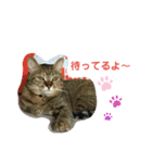今日も元気なタテにゃん（個別スタンプ：8）