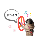 パグのふーちゃんスタンプ（個別スタンプ：5）