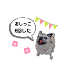 パグのふーちゃんスタンプ（個別スタンプ：9）
