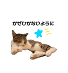 きじしろさんのスタンプ あんもみ2（個別スタンプ：17）