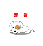 おバカな犬（個別スタンプ：27）