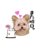 191030130652.61ULa0v.（個別スタンプ：1）