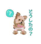 191030130652.61ULa0v.（個別スタンプ：2）