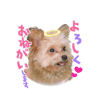 191030130652.61ULa0v.（個別スタンプ：3）