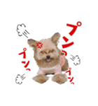 191030130652.61ULa0v.（個別スタンプ：4）