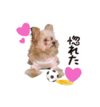 191030130652.61ULa0v.（個別スタンプ：5）