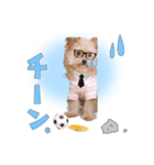 191030130652.61ULa0v.（個別スタンプ：6）