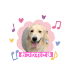 きなたんのすたんぷ❷（個別スタンプ：6）