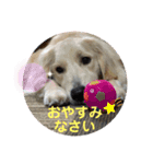 きなたんのすたんぷ❷（個別スタンプ：8）
