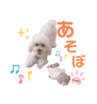 ちゃめしがスタンプになったよ（個別スタンプ：3）