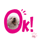ちゃめしがスタンプになったよ（個別スタンプ：7）