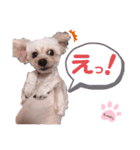 ちゃめしがスタンプになったよ（個別スタンプ：9）