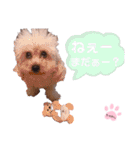 ちゃめしがスタンプになったよ（個別スタンプ：14）