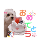 ちゃめしがスタンプになったよ（個別スタンプ：17）