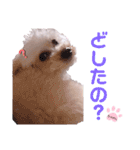 ちゃめしがスタンプになったよ（個別スタンプ：18）