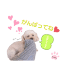 ちゃめしがスタンプになったよ（個別スタンプ：23）