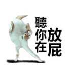 とても普通の猫と友達2（個別スタンプ：1）