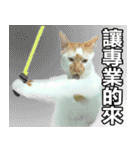 とても普通の猫と友達2（個別スタンプ：7）