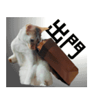とても普通の猫と友達2（個別スタンプ：20）