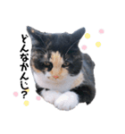 Life with animals！！（個別スタンプ：5）