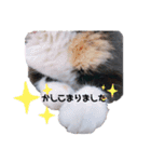 Life with animals！！（個別スタンプ：6）