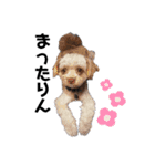 Life with animals！！（個別スタンプ：19）