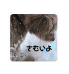 Life with animals！！（個別スタンプ：24）