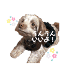 Life with animals！！（個別スタンプ：27）