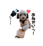 Life with animals！！（個別スタンプ：34）
