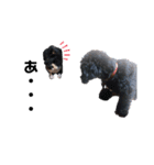 Life with animals！！（個別スタンプ：40）