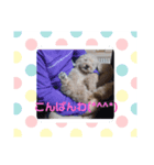 ハッピースマイル6（個別スタンプ：1）